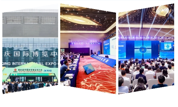 立泰服飾集團共商未來·共促發(fā)展.png